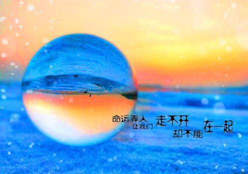 (番外)+(全文)不染佛子榻上欢：无广告阅读txt下载阅读_(司晚星萧识檐)不染佛子榻上欢：无广告阅读最新章节列表_笔趣阁（司晚星萧识檐）