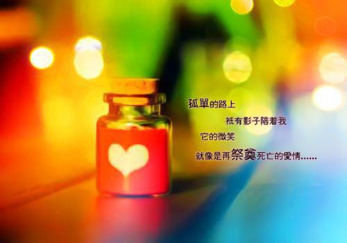 许凛川姜沐岚全文+番外+大结局（我真切伴她看过流萤：结局+番外）免费在线阅读_许凛川姜沐岚（我真切伴她看过流萤：结局+番外）全文免费阅读无弹窗大结局