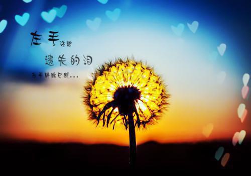 別那么娇气优质全文阅读林京云张敏小说_別那么娇气优质全文阅读免费阅读