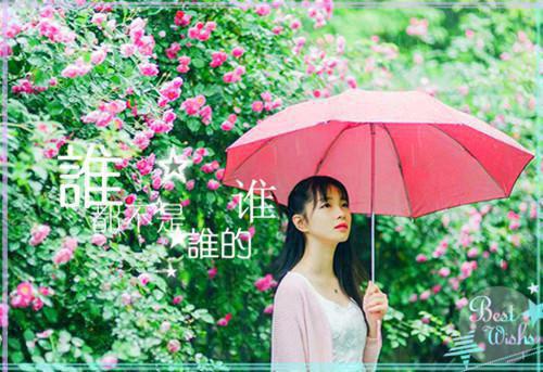 太子爷反差宠完结版小说全章节目录阅读