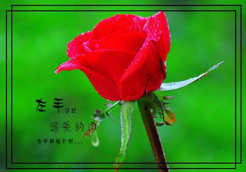 林睿诚沈倩然完结版在线阅读_林睿诚沈倩然免费阅读全文最新章节列表_林睿诚沈倩然全集免费阅读_林睿诚沈倩然全文免费阅读无弹窗大结局
