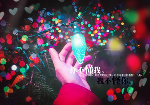 萧瑟夜半风又起最新章节列表_萧瑟夜半风又起全文免费阅读(裴若语贺誉沉)