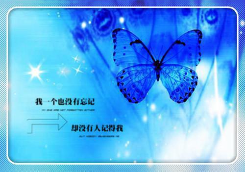全本不爱我？那就直接原地滚蛋（沐司恋楚擎妄）最新章节列表_全本不爱我？那就直接原地滚蛋全文阅读