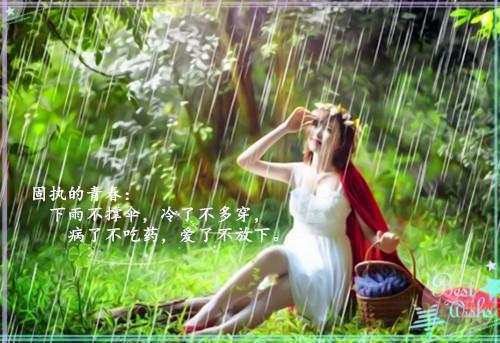 最新推荐（梁慕白苏洛）梁慕白苏洛/轻弹一首别离：结局+番外老书虫推荐全书无套路阅读