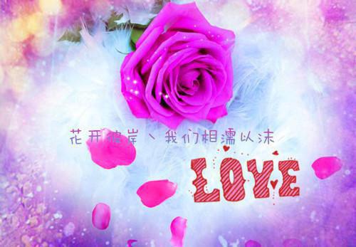 风靡校园小说全文沈轩全文完结版小说阅读