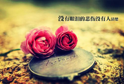 出宫嫁个如意郎君江晚余全文阅读最新章节_出宫嫁个如意郎君江晚余全文阅读
