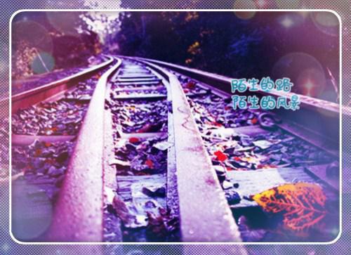 宿主，你现在后悔了吗？小说向云婉顾斯年热门小说完结版阅读