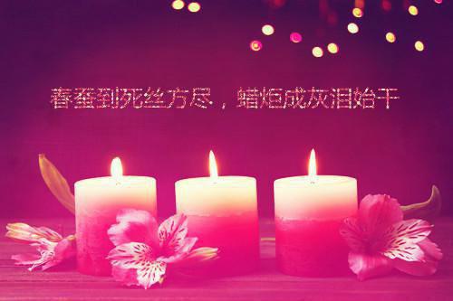 完结文回首是潇潇暮雨：在线最新章节列表_完结文回首是潇潇暮雨：在线全文免费阅读（林婉兮霍亦铭柳依雪）