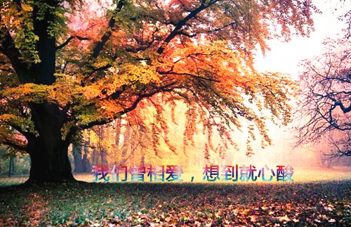 (番外)+(全文)不信人间有白头：必读文+番外不信人间有白头：必读文免费阅读无弹窗大结局_不信人间有白头：必读文结局+番外最新章节列表_笔趣阁不信人间有白头：必读文
