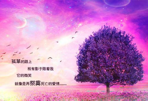 爱已消散不重逢最新小说（楚敏静,姜衍,姜允）全文阅读
