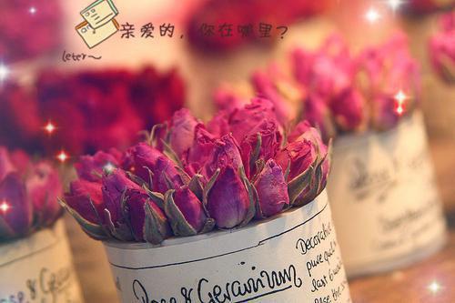 产检报告一切正常，全家却都盼着我去死：全文小说师成安茵茵小说在线阅读