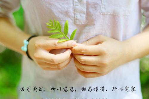 发现祠堂的秘密后，全村无一活口火爆情节（冯若琳杜伟）全文免费_（冯若琳杜伟）发现祠堂的秘密后，全村无一活口火爆情节后续阅读（冯若琳杜伟）