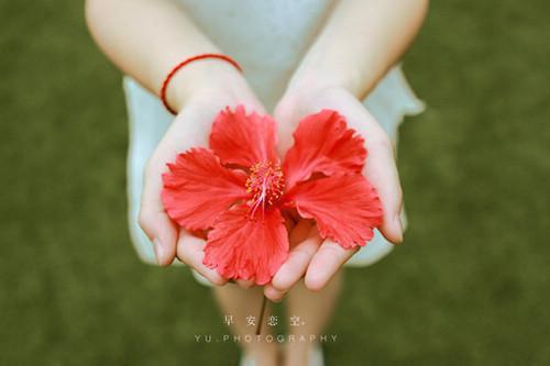 完结文契约婚书，温粥知意最新章节列表_完结文契约婚书，温粥知意全文免费阅读（顾承砚林晚星）