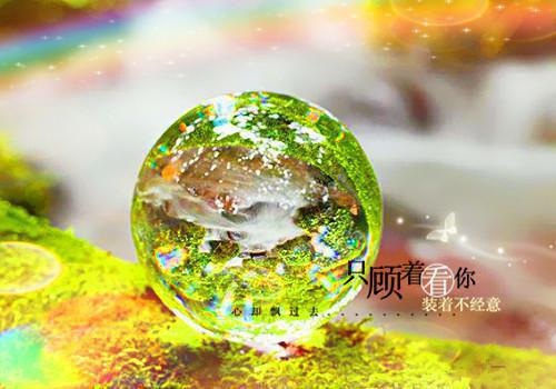 唯剑独尊全面完结（玄剑,圣元,林羽）最终终章全书在线下载阅读无干扰