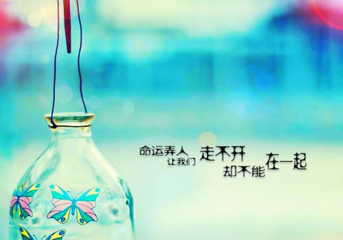 孟岚褚玄小说（孟岚褚玄）全文免费阅读无弹窗_孟岚褚玄小说最新章节列表（孟岚褚玄）
