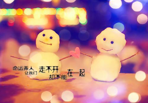 温月婷梁时绪阅读_温月婷梁时绪言情小说全文阅读