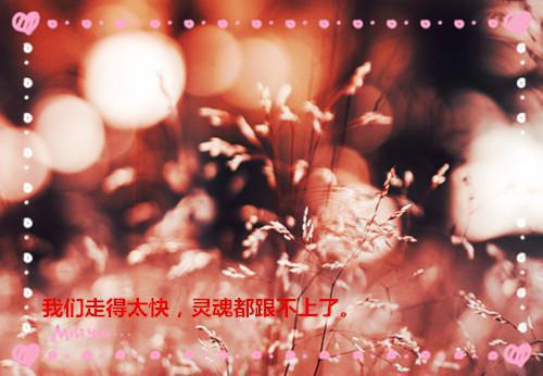 完结文穿成男主早死的白月光我不干了顾景川林茉（又名：我死后的第十一年新书）最新章节列表_完结文穿成男主早死的白月光我不干了顾景川林茉（又名：我死后的第十一年新书）全文阅读