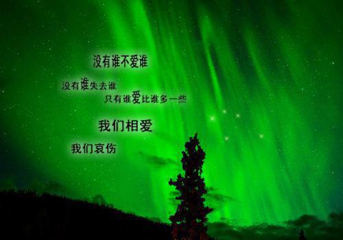 长风不解云舒意：在线看凌风彻沈云舒一口气看完_书荒时期必读情感力作凌风彻沈云舒《长风不解云舒意：在线看》