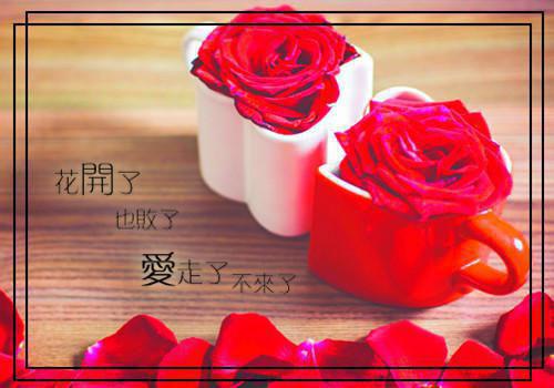 完结文我都E级巅峰了，还跟你讲道理？最新章节列表_完结文我都E级巅峰了，还跟你讲道理？全文免费阅读（张铭张发财）