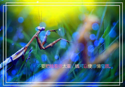 （阮雾梨闻砚辞）人面桃花长相忆：必读文在线阅读最近更新