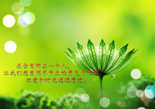 烂好心的舍友（满是,张敏,张修）最新章节_烂好心的舍友全文阅读
