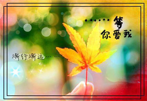全员读心：温软玫瑰晋升恋综娇宠（向裴,都对,萧奕燃）全文免费_（向裴,都对,萧奕燃）全员读心：温软玫瑰晋升恋综娇宠后续阅读（向裴,都对,萧奕燃）
