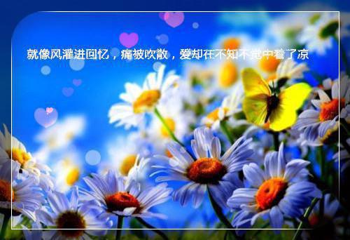 爱如烟花，转瞬即逝精彩剧情（顾鸢沈景初）全文免费_（顾鸢沈景初）爱如烟花，转瞬即逝精彩剧情后续阅读（顾鸢沈景初）