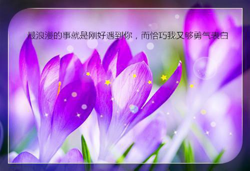 何处繁花醒洛梨：全文小说温洛梨霍韫年小说在线阅读