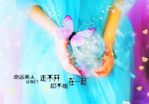 秦珩,秦父,江景宸完结版在线阅读_秦珩,秦父,江景宸免费阅读全文最新章节列表_秦珩,秦父,江景宸全集免费阅读_秦珩,秦父,江景宸全文免费阅读无弹窗大结局