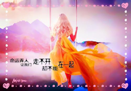 全文小说我开了个算命直播间目录免费阅读