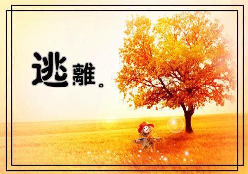 昔日爱恨，余生无爱结局+番外(洛犹笙滕白滕朵妍)全文洛犹笙滕白滕朵妍读无弹窗结局_洛犹笙滕白滕朵妍读结局章节列表_笔趣阁（昔日爱恨，余生无爱结局+番外）