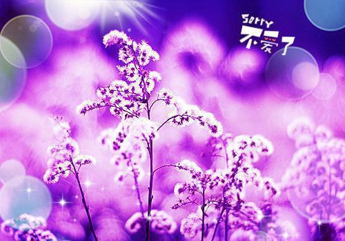 陈初夏陆景曜全文阅读最新章节_陈初夏陆景曜全文阅读