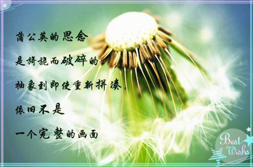 完结文人面桃花长相忆：精彩节选最新章节列表_完结文人面桃花长相忆：精彩节选全文免费阅读（阮雾梨闻砚辞）