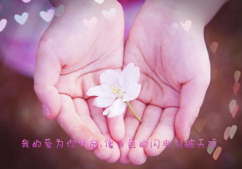病弱夫君要休妻：必读文全文小说沈岁禾陆修尘小说在线阅读