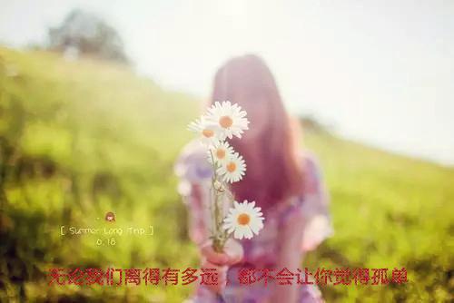 (番外)+(全文)假装深情：后续+必读txt下载阅读_（江萱沈淮序盛诗情）假装深情：后续+必读最新章节列表_笔趣阁（江萱沈淮序盛诗情）