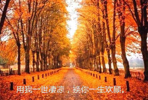 （宋宁夏裴寂）春风不度旧时约：强推在线阅读最近更新