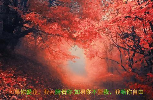 全文浏览繁花盛意难平精彩剧情（轩辕翊陆依霜）_繁花盛意难平精彩剧情（轩辕翊陆依霜）全文结局