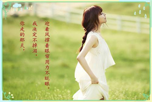 热推佳作（温南枝沈清宴）温南枝沈清宴/烟火照夜白：结局+番外极佳剧情全书无套路阅读