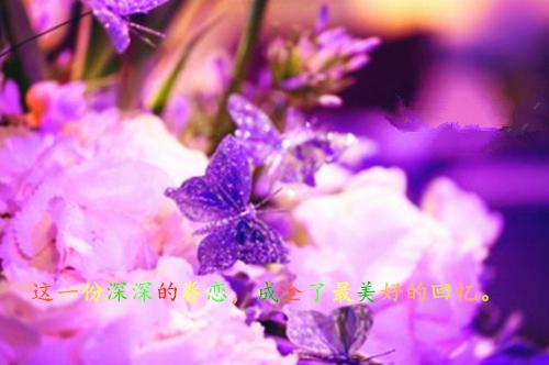 阎王点卯全文小说免费_ 悬疑灵异 | 韩小莱青青精彩阅读