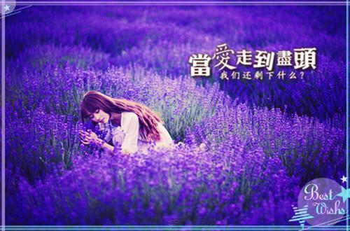 谢尽长安花：,沈照霜宁砚最新推荐_最新章节阅读谢尽长安花：,沈照霜宁砚