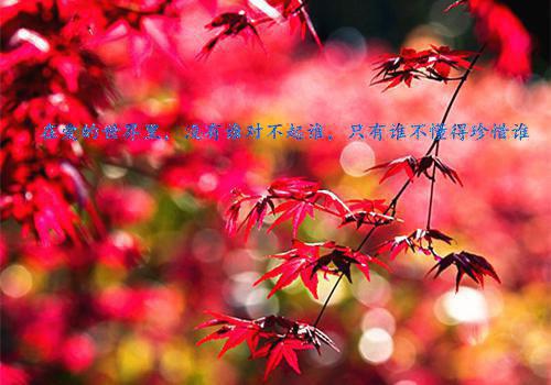与秋日同眠：精彩剧情新鲜出炉（宁洛泽傅方柔）最新推荐_最新推荐与秋日同眠：精彩剧情新鲜出炉（宁洛泽傅方柔）
