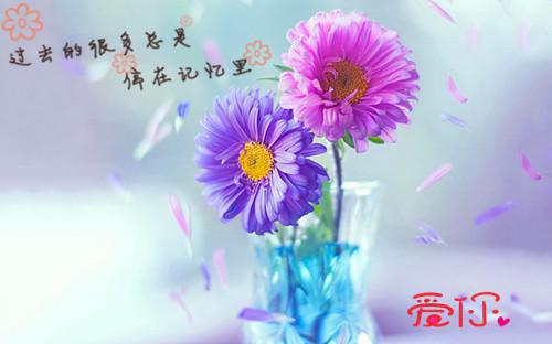 (结局)+(全文)林若初沈怀瑾（坠落星河的爱：结局+番外）全文免费阅读无弹窗大结局_(林若初沈怀瑾)最新章节列表_笔趣阁（坠落星河的爱林若初沈怀瑾：结局+番外）