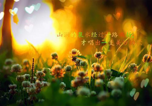 全本小说身为18线明星的宋梨隐婚宋梨温津全文免费阅读