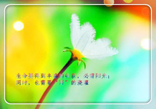 最新章节此去经年人未还：（沈青禾霍沉洲）_此去经年人未还：沈青禾霍沉洲最新章节
