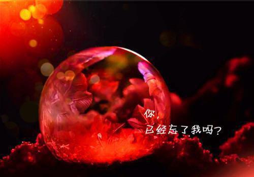 好看的姜语妍霍庭野小说_姜语妍霍庭野最新章节阅读