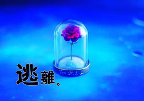 全文免费乔绾音谢景珩孟云姝文（又名：梦断书尽离人歌）_乔绾音谢景珩孟云姝文（又名：梦断书尽离人歌）全文免费