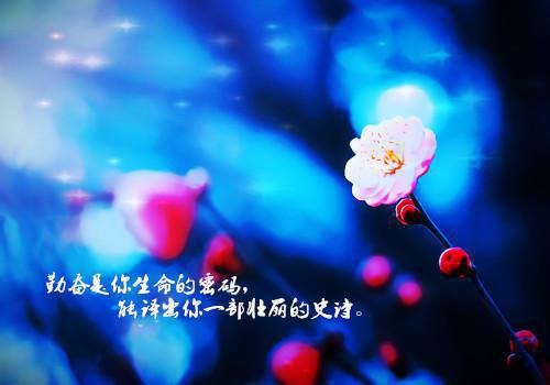 本神豪你惹不起全文阅读（陈陌李鹿纯）最新章节_本神豪你惹不起全文阅读