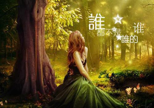 我重伤后，妻子她彻底后悔了全文清爽版在线+无广告结局（陈泽沈清秋）