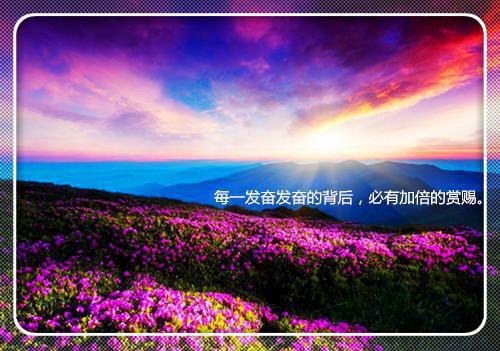 别闹！顶流天后她只想吃瓜优质全章全文阅读（应婷吴依樊）最新章节_别闹！顶流天后她只想吃瓜优质全章全文阅读