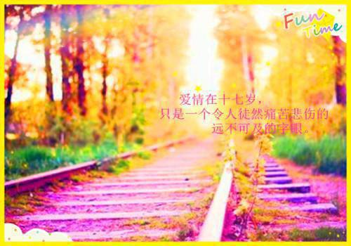 哥哥为假千金逼我冲喜殉葬后，我重生（宋鹤年,宋诗,冉冉）已完结，哥哥为假千金逼我冲喜殉葬后，我重生已完结